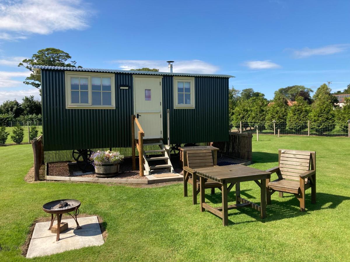 The Hawthorn Shepherds Hut Eyemouth Extérieur photo